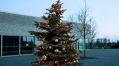 Ein geschmückter Weihnachtsbaum vor dem Besucherzentrum