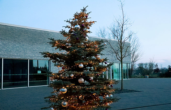 Ein geschmückter Weihnachtsbaum vor dem Besucherzentrum