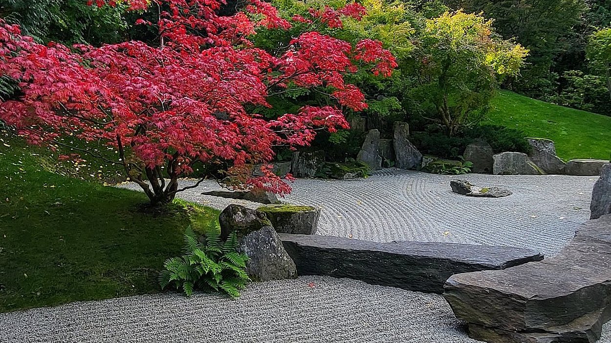 Der japanische Garten in Herbstfarben